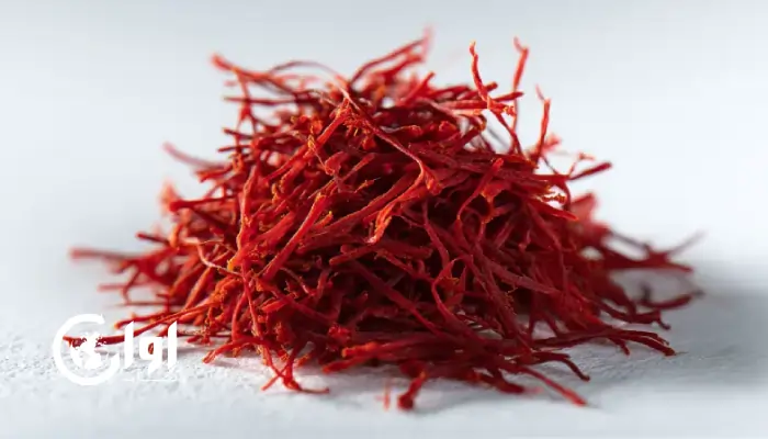 تصویری از نمای نزدیک رشته های سرخ و قرمز زعفران نگین. محصول اوان تجارت