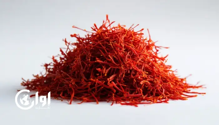 تصویری از زغفران سرگل با رشته های کاملا قرمز و سرچین زعفران. اوان تجارت