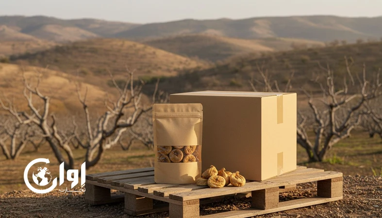 بسته‌بندی صادراتی انجیر خشک استهبان برای بازار اسنک‌های سالم و تأمین B2B_اوان تجارت