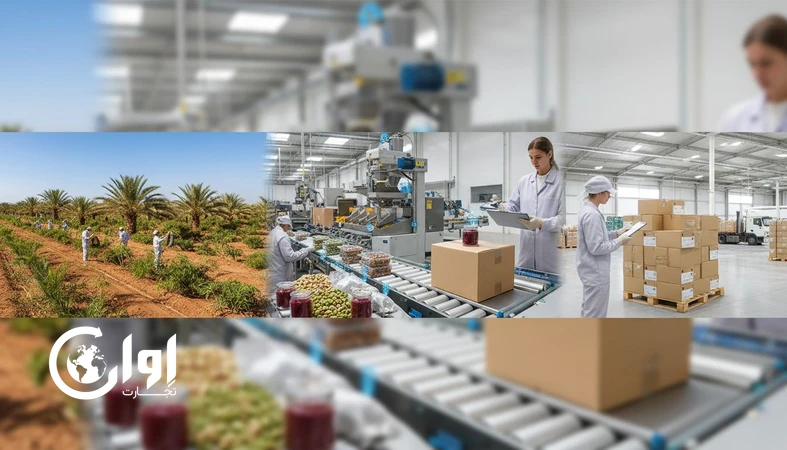 ردیابی از مزرعه تا قفسه؛ Traceability اروپایی را چطور اجرا کنیم؟