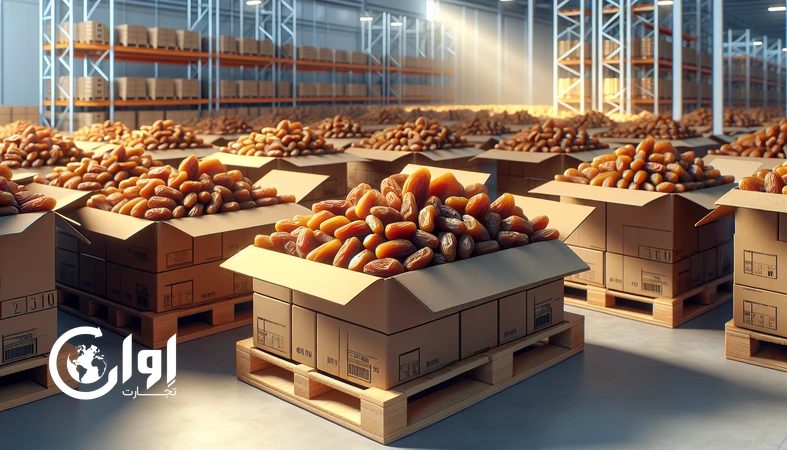 خرمای زاهدی فارس در کارتن مقوایی صادراتی چیده‌شده روی پالت، مناسب صادرات عمده و مسیرهای حمل طولانی