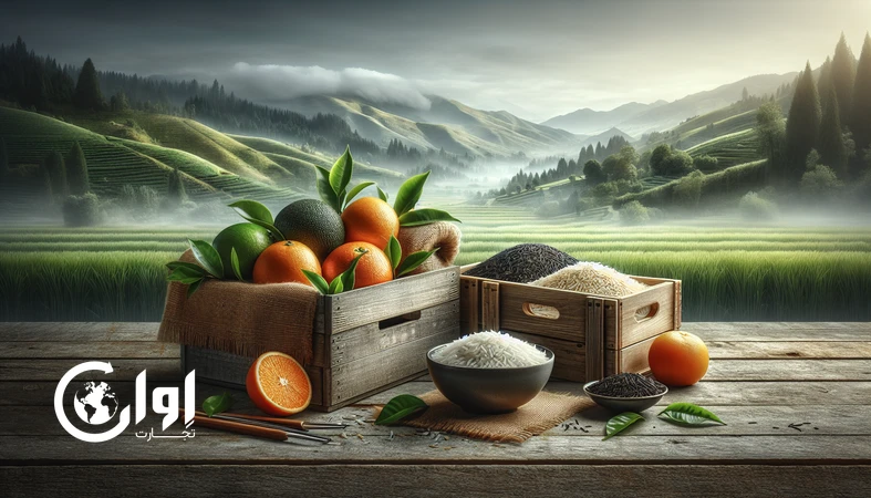 چای گیلان تا برنج مازندران؛ سه‌گانه طلایی شمال ایران در بازار پریمیوم