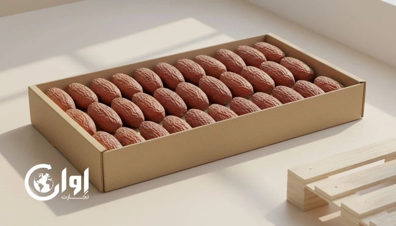 خرمای شاهانی بوشهر با بسته‌بندی جعبه مقوایی صادراتی؛ مناسب برندینگ و عرضه حرفه‌ای در بازارهای بین‌المللی