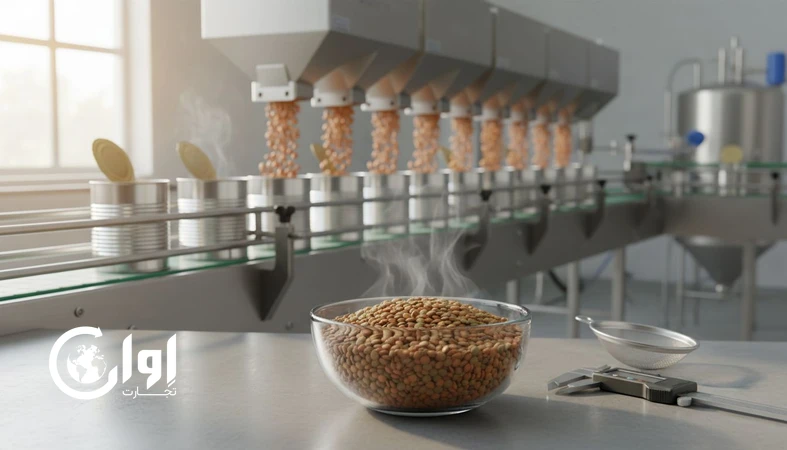 چرا عدس ایرانی برای صنایع کنسرو‌سازی مزیت رقابتی دارد؟